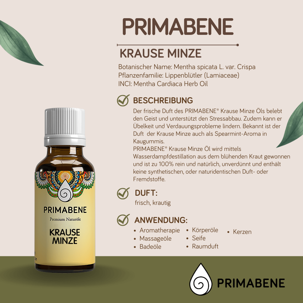 Bild von Krause Minze (Spearmint) , 100% rein ätherisches Öl
